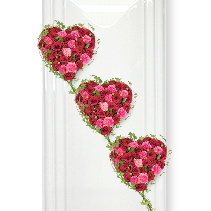 The image presents a striking trio of rose-filled hearts, crafted as an elegant funeral tribute that descends diagonally across a pure white background. At the top, a full heart of roses is shaped with perfect symmetry, its outline clearly defined by a collar of trailing ivy. Directly beneath, another heart follows, and then a third, creating a continuous cascade that feels both intentional and serene, like a floral garland honouring someone cherished. Each heart is densely packed with fresh roses in a rich palette of colours: deep, velvety reds that suggest devotion and strength; vibrant fuchsia tones that add energy and vitality; and softer pinks, from warm rose to delicate blush, offering a gentle, consoling mood. The roses vary in openness-some buds are still partially closed, tender and compact, while others are fully unfurled, revealing intricate layers of petals that give the design a soft, cushion-like texture. Fine strands of ivy frame each heart with small, pointed leaves in a bright, healthy green, their tendrils stretching between the forms in slender arcs that symbolise continuity and the bonds that remain even after loss. The crisp white background, reminiscent of a calm, light wall in a Queensbury chapel of rest or a quiet room near Honeypot Lane, creates a powerful contrast that lets the colours glow. Subtle shadows fall beneath the hearts, reinforcing their three-dimensional form and the depth of the arrangement. This composition feels ideal for a memorial or funeral service where family and friends wish to express layered emotions-love, gratitude, and remembrance-through a single, beautifully coordinated floral piece prepared with care by a local Queensbury florist.