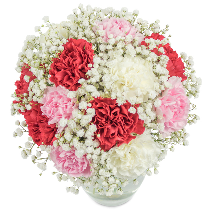 An exuberant and classic arrangement, gathered with care by a skilled Queensbury florist familiar with the neighbourhood's sense of community. Towering carnation blossoms in a palette of passionate red, soft pastel pink, and creamy white nestle closely together, forming a generously rounded bouquet that echoes the spirit of nearby Harrow's gardens or the lively shops on Kenton Road. Interlaced among the ruffled carnations, hundreds of fine baby's breath blooms lend an airy, fairy-tale texture, softening the vibrant hues below and evoking the lightness of an early spring morning in North West London. The whole ensemble is gracefully anchored in a transparent, rounded glass vase, so the water-soaked stems are displayed in neat assembly. Clean, diffused lighting brings clarity and vibrancy to each petal, ensuring the bouquet's colours pop against a silken white background. The visual fullness and balanced composition reflect careful artistry, perfect for Mother's Day surprises, anniversary wishes, or thoughtful congratulations-each flower selected and arranged to speak of love and gentle celebration, as cherished in Queensbury homes and workplaces. This arrangement channels a mood of warmth and timeless joy, creating a centrepiece that's both visually stunning and emotionally resonant.