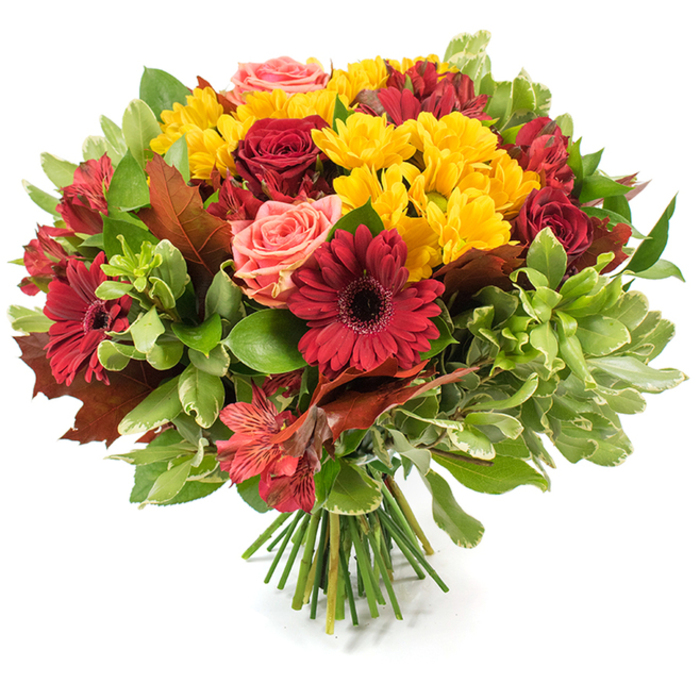 Displayed on a stark white surface, this full, hand-tied bouquet reads like an autumnal painting: saturated crimsons and warm ambers balanced with bright, joyous yellow and soft coral. Prominent dark-red gerbera daisies with pronounced, slightly raised centres create focal points, while rich burgundy roses - some opening into velvety rosettes, others holding tight - give the arrangement a classic, romantic weight. Clusters of small yellow chrysanthemum-like flowers ripple through the design, their compact, multi-petalled heads adding textured highlights that brighten each glance. Scattered blush-coral roses and peachy garden blossoms introduce a tender softness, and fine, speckled alstroemeria in orange-red tones contribute delicate, star-shaped accents. The blooms are enveloped by a layered assortment of foliage: deep glossy leaves that anchor the palette, intermingled with lighter, almost silvery variegated greenery that breathes space into the dense round form. A few large, reddish-brown and bronze-toned leaves, reminiscent of oak or maple, are tucked into the mass - a deliberate nod to the season, as if gathered during a stroll from Queensbury's local green lanes or the edge of Fryent Country Park. The stems are gathered and visible at the base, a crisp bundle of green stalks identifying the bouquet as a professional hand-tied piece. Bathed in soft diffuse light, the petals seem to warm and glow; the arrangement suits a Thanksgiving centrepiece, an autumnal anniversary, or a comforting delivery for someone who cherishes the changing season in Queensbury.