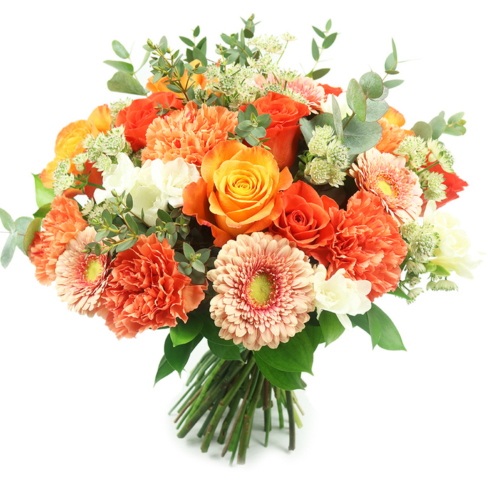 Presented against a crisp white background, this abundant hand-tied bouquet reads as both luxurious and warmly familiar, the kind of arrangement a seasoned florist would create for an elegant kitchen table or a community celebration in Queensbury. Dominant here are richly hued roses-some glowing with golden yellow, others burned orange-each bloom showing layered, spiralled petals that catch the light and hint at a fragrant, heady sweetness. Between them, multi-layered carnations in coral and burnt orange provide a voluptuous, tactile density; their ruffled edges create shadows and softness that contrast beautifully with the smoother rose petals. Peach and apricot gerberas introduce open, sunlike faces, their slightly recessed yellow-green centres adding a charming focal point. Delicate clusters of white filler flowers-tiny freesia-like or spray blossoms-punctuate the warm tones with crisp clarity, while pale green, astrantia-like fillers add filigree texture. Cooling silvery eucalyptus leaves are woven throughout, their rounded shapes and muted tones lending a naturalistic structure and refined calm. The stems are tightly gathered and tied at the base in a traditional hand-tied finish, ready for immediate display in a vase or as a special-order gift for an autumn wedding, anniversary, or a polished doorstep surprise. Imagined in a Queensbury sitting room or on a café table near the parade of shops, this bouquet evokes celebration and considered craft: fresh, fragrant, and designed to bring comforting brightness to any local home or event while showcasing professional floral design and seasonal sensibility.