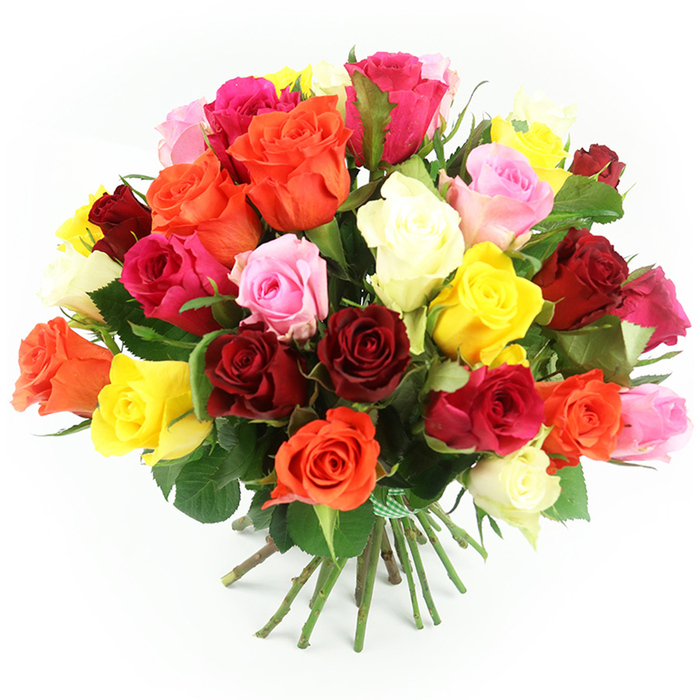 An opulent, hand-tied bouquet of approximately 30 to 40 multi-coloured roses sits against a luminous white background, creating the impression that the flowers are floating in a pool of light. The roses are tightly massed in a rounded, almost spherical crown, with layers of petals overlapping so closely that only small pockets of dark green foliage are visible. Deep crimson and rich burgundy roses provide a dramatic base tone, while bright fuchsia and soft pastel pink blooms thread through the design, offering softness and vibrancy. Sunny yellow and warm orange roses add a feeling of optimism and celebration, reminiscent of cheerful shopfronts and gardens around Queensbury and nearby Kingsbury. Scattered among them, creamy white and ivory roses introduce a sense of calm, giving the eye a place to rest amid the intensity of colour. Each bloom shows the classic rose form-densely layered, spiralling petals that feel almost velvety to the touch, their edges gently curling outward as if in mid-breath. Below this dome of colour, the sturdy green stems are gathered in a neat bundle, tied with a green and white gingham ribbon that evokes homely comfort and a personal, hand-crafted touch. The stems spread gently where they meet the white surface, emphasising that this is a true hand-tied bouquet, ready to slip into a favourite vase in a Queensbury living room or be presented as a gift at a family celebration. Soft, even lighting captures every nuance of texture and shade, making this image a natural fit for content about rose symbolism, romantic gifts, or local flower delivery around Queensbury.