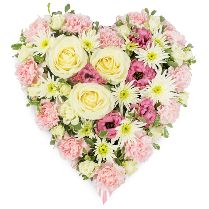 A rich, heart-shaped funeral flower tribute is displayed against a pristine white background, its colours and textures clearly defined and carefully balanced in a way that feels both elegant and deeply personal, as though prepared for a quiet service in Queensbury. The heart is densely filled, with no gaps, creating a solid yet soft-looking surface of petals. At its core, several large, creamy yellow roses open in perfect spirals, each bloom full and confident, symbolising warmth, gratitude, and enduring affection. These roses are framed by an abundance of delicate pastel pink carnations, whose ruffled petals overlap generously to form the outline and main structure of the heart. The carnations add a plush, almost velvety texture, softening the design and giving the arrangement a gentle, comforting presence. Interspersed among the carnations and roses, white spider chrysanthemums stretch out with their long, slender petals, radiating from fresh green centres like soft bursts of light. These crisp white flowers bring a sense of clarity and purity, evoking quiet moments of reflection after a farewell gathering near Queensbury's local chapels or crematorium. Deeper tones of magenta-pink lisianthus appear in small clusters, their bell-shaped blooms and slightly ruffled edges introducing a note of emotional depth and sophistication, like cherished memories that stand out vividly over time. Small touches of green foliage and tiny buds peek between the blossoms, lending the composition a natural rhythm and keeping the colours from feeling too formal. At the bottom point of the heart, a delicate pink ribbon appears, just visible beneath the flowers, suggesting this piece has been thoughtfully finished as a sympathy or memorial tribute. The overall impression is of a lovingly handcrafted floral heart, suitable for honouring a loved one with a beautiful, serene gesture anywhere across the Queensbury area.