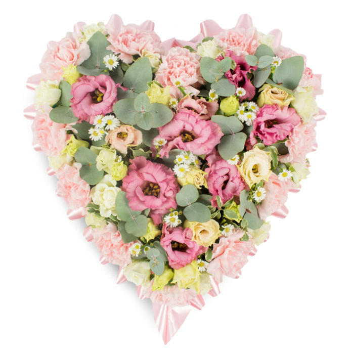 A beautifully composed heart-shaped floral display is shown against a pristine white background, the simplicity of the setting drawing all attention to the softness and detail of the flowers. Around the outer edge runs a fine border of soft pink satin ribbon, carefully pinned and folded to hug the contours of the heart, with two refined bows positioned at the upper curve and the lower point, giving the piece a polished, ceremonial feel often seen in thoughtful tributes delivered across Queensbury. The interior of the heart is densely and expertly packed, creating a lush, continuous surface of blooms. Ruffled pink lisianthus and frilly light pink carnations dominate the composition, their petals overlapping like layers of delicate fabric to form a rich, textured base. Threaded among these are clusters of creamy yellow and pale ivory spray roses or small lisianthus blossoms, each adding a note of gentle warmth and understated brightness that lifts the pinks without overpowering them. Scattered throughout are tiny white daisy-like flowers with sunny yellow centers, which provide charming points of contrast and a suggestion of wild meadow flowers. Between the blossoms, rounded, silvery-green eucalyptus leaves are tucked in at different angles, their cool hue and smooth shape balancing the softness of the petals. Deeper green, variegated foliage is woven through the design, giving depth, structure, and a sense of natural movement, as if the heart were gently breathing. The palette of blush, cream, soft yellow, and muted green feels calm and consoling, making this heart an ideal sympathy arrangement for funerals, memorials, or wakes in and around Queensbury, where families wish to honour a loved one with grace, tenderness, and quiet beauty.