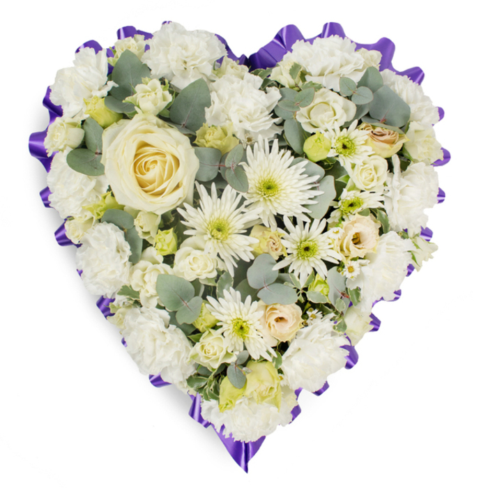A detailed, heart-shaped sympathy arrangement is presented on a crisp white background, its generous mix of white and cream blooms forming a luxurious, almost cushion-like surface. The heart is perfectly proportioned, with a gentle curve at the top and a rounded point at the bottom, clearly defined by a deep purple, ruffled ribbon that encircles the entire design like a fabric halo. In the very centre, one elegant creamy-white rose stands out, its petals tightly layered yet softly curved, symbolising a single, precious life. Radiating outwards from this focal bloom is a blend of ruffled white carnations and airy white chrysanthemums, some with spidery petals and pale green cores, creating a harmonious contrast of shape and structure. Scattered between them are smaller roses in ivory and soft cream, some open, others still in bud, along with tiny hints of pale yellow and very soft blush tones that lend warmth to the otherwise cool palette. Delicate filler flowers and little lime-tinted buds introduce a light, fresh energy, while sprigs of silvery-green eucalyptus leaves peek out from between the petals, giving the heart depth and a gentle, natural fragrance. The flowers appear freshly cut and carefully placed, reflecting the kind of quality you would expect from a dedicated Queensbury florist who regularly prepares tributes for local churches and services near Kingsbury and Edgware. The overall effect is one of quiet elegance and heartfelt sincerity, a floral heart that speaks of love, remembrance, and the wish to offer comfort at a time of loss, as it might rest beside a framed photograph at a funeral or memorial gathering.