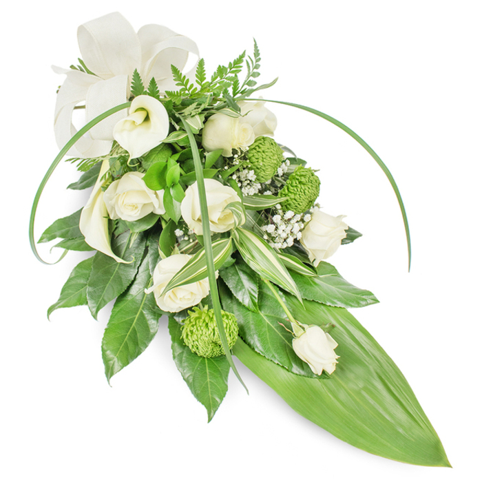 A refined teardrop or cascade-style floral tribute in tranquil whites and fresh green tones, set against a clean white backdrop so every texture reads clearly. Creamy white roses in multiple stages of bloom form the central narrative, their petals layered like soft, protective folds. Two pristine white calla lilies sit toward the upper left, their smooth, sculpted curves bringing an elegant, architectural counterpoint to the roses. Bright lime-green button chrysanthemums-compact, spherical, and richly textured-are woven through the spray, adding a modern, almost playful note among the otherwise serene flowers. Wisps of baby's breath (Gypsophila) thread between the larger blooms, offering an airy veil that lightens the composition and suggests delicate sympathy. The foliage repertoire provides depth: deep glossy leaves create a lush foundation, variegated leaves with crisp white striations add visual interest, and feathery fern fronds crown the top with soft, natural movement. Two slender, arching blades of vivid green foliage curve over the arrangement, enhancing its graceful lines, while the whole piece tapers to a large, smooth bright-green leaf forming the pointed tail. A modest cream fabric bow at the upper left lends a respectful finishing touch. This is the kind of tasteful memorial spray families across Queensbury and neighbouring Kingsbury request when they want to express quiet respect and lasting remembrance, crafted with the careful attention of an experienced local florist.