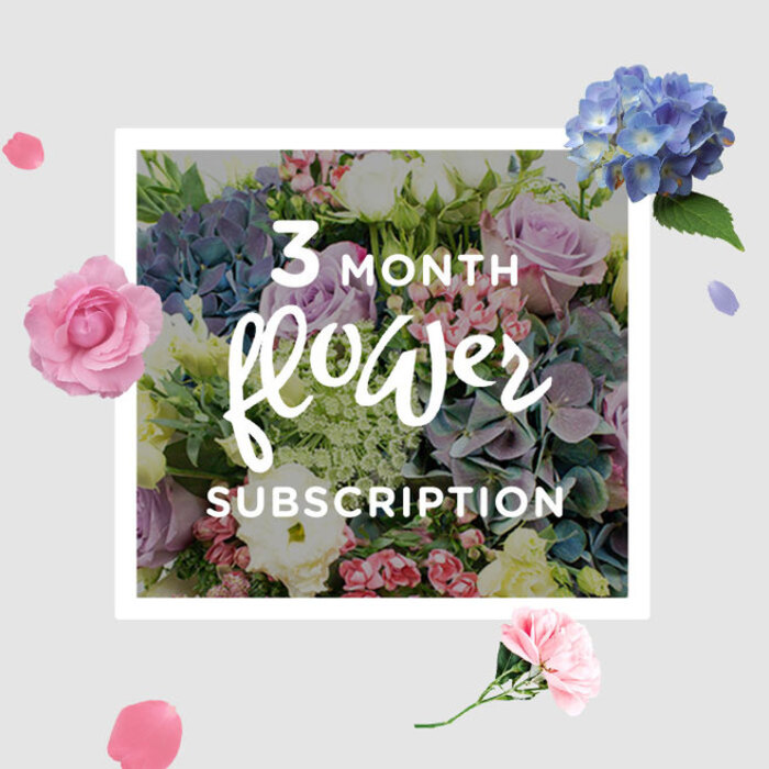 This image captures a softly romantic bouquet from a three-month subscription, arranged with the kind of quiet confidence you might expect from a seasoned Queensbury florist. Wide, rounded heads of pale blue hydrangeas anchor the design, their petals layered in tight clusters that resemble little ruffled waves of colour. They form a cool, serene base upon which roses in blush pink, lilac, and muted lavender are thoughtfully placed, each rose at a slightly different stage of bloom. Some are fully open, their centres spiralling inward like tiny whirlpools of colour; others remain partially closed, creating a tender sense of anticipation. Lisianthus stems in complementary pastel tones thread gently through the bouquet, their slender, bending stalks and softly frilled petals lending a light, air-brushed quality to the arrangement. Around the edges and peeking through the blooms, glossy green foliage provides natural contrast, evoking the calm greenery of nearby Queensbury parks and tree-lined streets. The lighting is gentle and natural, as though the bouquet rests near a window in a Queensbury semi-detached home, morning light catching the delicate textures and subtle gradations of colour. One can almost sense a layered fragrance: rose sweetness, a hint of fresh greenery, and the delicate, almost clean scent of hydrangeas. The bouquet suggests continuity and gentle ritual-a new arrival each month that quietly refreshes a hallway console, dining table, or bedside. It feels suited to anniversaries, thoughtful thank-yous, or simply the pleasure of having something beautiful and ever-changing brought to your door throughout the seasons.