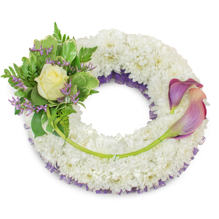 A dignified circular wreath formed from a generous, tightly packed ring of snowy white chrysanthemums, each floret contributing to a uniform, plush texture that conveys serenity and reverence. Subtly visible beneath the pristine white is a band of deep purple mesh or fine netting, peeking at the inner circumference to introduce a restrained contrast that deepens the composition without overpowering it. Nestled in the upper-left quarter is a composed cluster of mixed foliage and blooms: a single, perfectly cupped cream or pale-yellow rose acts as the central note, its soft scent and smooth petals contrasted by an assortment of glossy variegated leaves-bright green with lighter margins-and feathery fern fronds that create delicate movement. Interspersed are slim stems of lavender-purple statice, their papery texture and muted violet tone harmonising with the hidden purple underlayer. On the opposing side, balanced from approximately two to five o'clock, two sculptural calla lilies lie across the wreath, their trumpet-shaped flowers graduating in colour from a deep, muted purple at the tips to soft peach-pink or blush nearer the base; their bright green stems curve organically along the lower-right arc and are woven into the chrysanthemum foundation. A single longer green stem from the left cluster crosses the lower segment of the wreath, discreetly affixed and directing the gaze toward the lilies, forming a visual bridge that suggests continuity and connection. Set against a crisp white background with soft, even lighting, this sympathy wreath reads as composed, respectful, and carefully fashioned-an appropriate choice for funerals, memorials, or graveside tributes where quiet dignity and lasting remembrance are required.