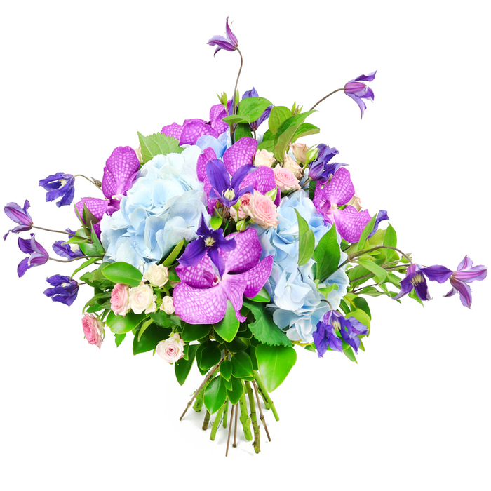A lush, hand-tied bouquet is carefully posed against a pure white background, the neutral setting allowing its cool blues, rich purples, and soft pinks to take centre stage. At the heart, generous heads of light sky-blue hydrangea form a rounded, cloud-like mass, their countless delicate petals overlapping in ruffled layers that suggest softness to the touch, like a cluster of summer clouds drifting above Queensbury's quiet residential streets. Nestled between and around them, striking orchids in vibrant fuchsia and deep velvety purple introduce an exotic note; their broad petals, likely from Vanda or Phalaenopsis varieties, are marked with fine speckles and veins that look almost like a painter's brushstrokes. Rising gracefully from the main body of the bouquet, slender stems of purple clematis weave upward and outward, some blossoms opening into star shapes, others gently nodding like bells, giving the arrangement height, movement, and a hint of the wild climbing vines you might glimpse in front gardens near Queensbury station. Scattered among these larger statements, small clusters of miniature roses in blush pink and creamy white soften the composition, adding a quieter, romantic voice and the suggestion of a light, powdery fragrance. Surrounding and supporting everything, lush green foliage in varied shapes and textures creates a rich backdrop, with glossy leaves catching the light and finer greenery filling subtle gaps. The stems are tightly gathered and visible at the base, showing the clean, professional finish typical of a skilled local florist. Lit evenly so that each detail remains crisp, this bouquet feels like a considered gesture of admiration or celebration, ideal for marking milestones, anniversaries, or heartfelt thank-yous delivered to homes and offices throughout Queensbury.