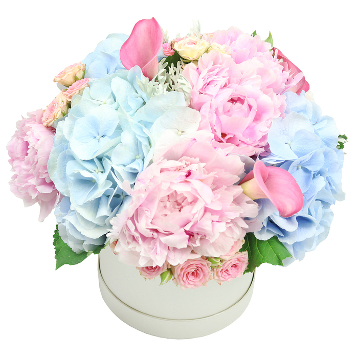 Luxurious in its quiet confidence, this arrangement arrives in a light grey, matte round hatbox that feels couture against a clean white backdrop. The bouquet is densely packed and beautifully balanced, intertwining pastel pinks with soft baby blues for a velvet, romantic effect. The dominant pink peonies unfurl their multitude of ruffled petals in shades from blush to rose, while clusters of baby blue hydrangeas add a breezy, airy texture. Two vibrant pink calla lilies rise above the blooms, their trumpet shapes creating elegant height and drama. Near the rim, tightly budded spray roses tuck in, adding a sweet, classic touch. Subtle hints of silvery foliage-dusty miller-and fresh green leaves peek through, giving depth and a natural feel to the composition. The box's muted grey finish lends refinement, making this piece suitable as a refined wedding bouquet, anniversary gift, Mother's Day tribute, or a stylish centerpiece for a party in Queensbury. The craftsmanship is evident in the balance of form, the precise spacing of petals, and the way light plays across the satin-like surfaces of the petals and leaves. Delivered with care to homes and venues across Queensbury, it stands as a sophisticated expression of romance and grace, a timeless choice for celebrating life's moments.