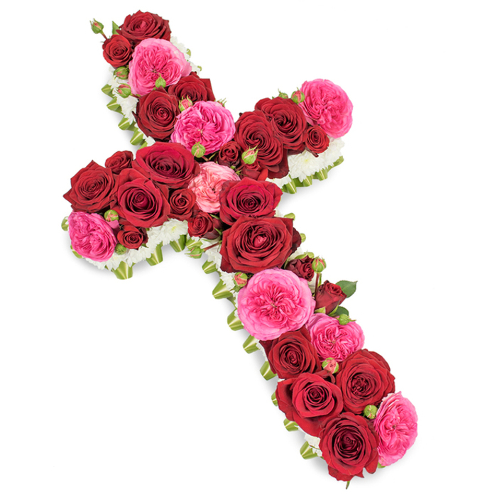 A solemn yet beautiful floral cross arrangement fills the frame, its form clearly defined against a pure white backdrop that draws attention to the intricate craftsmanship. The cross is constructed entirely from fresh roses and delicate fillers, with no bare stems visible, giving it a lush, continuous surface. Deep crimson-red roses dominate the design, their full, velvety heads arranged closely together so that the petals almost overlap, creating a sense of richness and depth along the vertical and horizontal arms. Interspersed among these are fuchsia-pink garden roses or similarly ruffled varieties, whose slightly lighter, more playful tone brings a quiet warmth and tenderness to the tribute. Here and there, smaller rosebuds in both red and pink peek out between the larger blooms, like gentle reminders of shared moments and stories that live on. A precise border of tiny white flowers-resembling mini chrysanthemums or fine spray carnations-encircles the entire cross, forming a soft, cloud-like margin that enhances the sacred outline and introduces a feeling of peace and purity. Subtle touches of fresh green foliage and perhaps a thin ribbon base offer structure and a touch of natural contrast without overpowering the roses. The lighting is soft and balanced, with no harsh shadows, allowing each petal, leaf, and bud to be clearly seen, as if the cross were about to be carried into a quiet church service in Queensbury or placed beside a memorial in nearby parks or residential chapels. The overall mood is contemplative and respectful, a traditional funeral flower arrangement designed to honour a life, express sympathy, and bring comfort to grieving hearts.