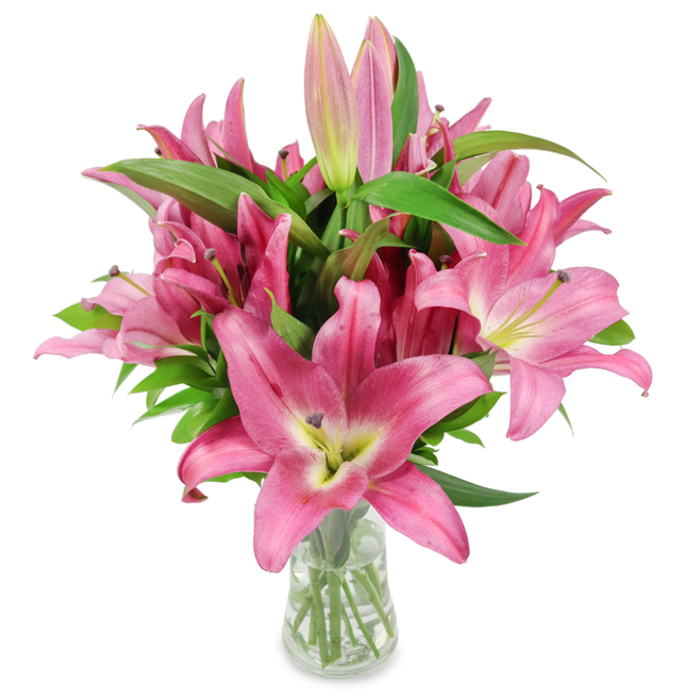 An elegant, studio-styled presentation of freshly cut pink oriental lilies gathered into a generous bouquet resting in a clear, gently tapered glass vase against a spotless white background. The arrangement reads as a study in texture and tone: broad, star-like petals in vibrant fuchsia and magenta arc away from lighter, almost creamy centres where a delicate chartreuse-yellow throat provides a soft luminous core. Prominent dark burgundy stamens stand in crisp relief, their pollen visible as tiny golden grains that add natural texture to each blossom. Scattered among the fully open blooms are numerous buds - from tightly closed pale pink to partially unfurled deep pink - that promise sustained freshness and gradual opening over several days. The rich, lance-shaped green leaves and steady stems supply a verdant scaffolding, offering both contrast and a sense of botanical fullness. Through the transparent vase you can see clean water and trimmed stems, a small but telling sign of professional handling and attention to detail. The photograph conveys the lilies' cool, slightly waxy petal texture and their intoxicating floral scent in a way that feels almost tangible, making this bouquet appropriate for many occasions: a refined birthday gesture, a comforting sympathy tribute, a Mother's Day honour, or an elegant statement for home décor. Rooted in local practice, this style of arrangement is typical of florists serving the Queensbury area and nearby streets, created to look striking in both modern apartments and more traditional houses around the neighbourhood.