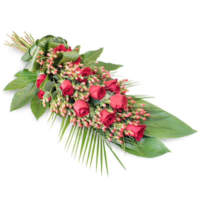 A beautifully composed funeral spray is displayed diagonally across a bright white background, its colours and textures clear and unhurried, like a thoughtful moment taken after a memorial in Queensbury. The arrangement is elongated and gently tapered, forming a classic teardrop shape that suggests a soft downward flow of farewell. Along its full length, rich red roses are arranged with care, their velvety petals catching the light in subtle highlights and shadows. Some roses are still in firm bud, others beginning to unfurl, and a few are well open, each stage of bloom hinting at memories across a lifetime. Nestled between the roses are plentiful clusters of pinkish-red Hypericum berries, round and smooth, adding a lighter note of colour and a pleasing, beaded texture that runs rhythmically through the spray. Supporting this is a dense layer of deep green foliage: wide, glossy leaves-possibly Salal or Ruscus-overlap to form a solid, dark green base, like the dense planting in the gardens around Queensbury Circle. From the lower right and edges, slender, feathery palm fronds arc outward and downward, softening the outline and giving the piece movement, as though the greenery is gently cascading in a quiet, comforting gesture. At the upper left, the stems are neatly gathered and encased in a wide band made from a folded green leaf, giving a refined, tailored finish that reveals the experienced touch of a professional florist. The stark white backdrop removes any distraction, placing full focus on the dignified harmony of red and green. Intended as a sympathy tribute, this spray would sit gracefully atop a coffin or on a stand at a funeral or wake in Queensbury, conveying deep love, sincere condolence, and a respectful final goodbye.