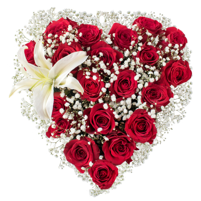 Set against a clean white field that isolates its colors and form, this heart-shaped floral sculpture speaks of careful craft and classical romance. The dominant presence is a dense cluster of deep crimson red roses, each bloom showing soft, velvety petals arranged in concentric layers; the bouquet mixes stages of bloom so movement is implied-tight buds promise tomorrow's opening while fully unfurled blossoms reveal shadowed depths and tactile ridges. Threaded gracefully through the red mass are delicate sprays of white baby's breath (Gypsophila), their tiny, star-like flowers creating an airy, cloud-like veil that softens the edges and adds an almost bridal lightness to the passionate red. In the upper-left curve a single white lily asserts itself with refined simplicity: broad, luminous petals in pure white with a pale yellow wash near the throat, and visible yellow stamens that introduce a subtle point of warmth. The lighting in the image is soft and even, allowing the textures-the velveteen rose surfaces, the feathery gypsophila, the lily's smooth, porcelain petals-to be read clearly and to suggest scent: rich rose aroma balanced by the fresh, green lift of gypsophila and the lily's floral spice. This composition is meticulously balanced, conveying both grandeur and intimacy, making it suitable for Valentine's tributes, anniversary surprises, or a tasteful floral homage. It's the sort of piece a Queensbury florist might prepare for delivery to addresses near Kingsbury High Road, the local community centre, or homes around the Wembley border, where classic floral symbolism is cherished and understood.
