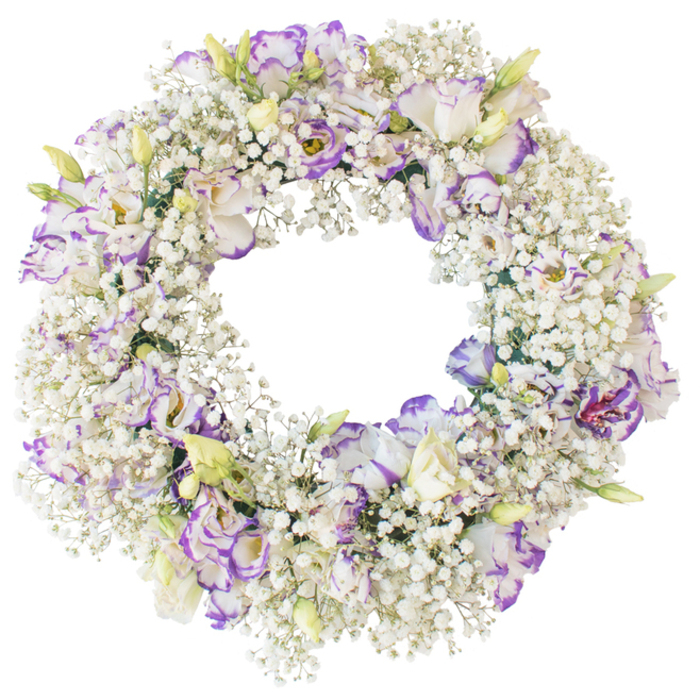 A graceful sympathy wreath is presented on a crisp white background, its circular shape perfectly defined and completely covered in fresh flowers, as if ready to be delivered to a memorial service in Queensbury. The base is constructed from abundant Baby's Breath, the tiny white blossoms clustering densely together to form a fluffy, cloud-like cushion that wraps around the entire ring. Their airy structure softens the edges and gives the wreath a gentle, ethereal presence, like mist hanging lightly over the parkland near Queensbury's green spaces. Nestled within this snowy framework are elegant Lisianthus blooms, each blossom unfolding in ruffled layers of white delicately bordered with purple-violet tones. The petal edges show hints of lavender and deeper plum, almost as if painted with watercolour, while the centers are slightly darker, adding depth without overpowering the calm palette. Some Lisianthus are fully open, proudly displaying their complex folds, while others remain mostly closed, tinged with pale green and creamy yellow, subtly suggesting fresh growth and hope. The center of the wreath remains open and unobstructed, reinforcing the traditional ring shape and symbolising continuity and eternal love. Gentle, even lighting enhances every texture-from the feathery Baby's Breath to the smooth, velvety Lisianthus petals-without distracting glare. Crafted with the precision of an experienced local florist, this wreath feels tender and composed, ideal for funerals, graveside tributes at a nearby cemetery, or as a respectful condolence arrangement delivered quietly to a family home in Queensbury, offering a visual expression of peace, remembrance, and enduring affection.