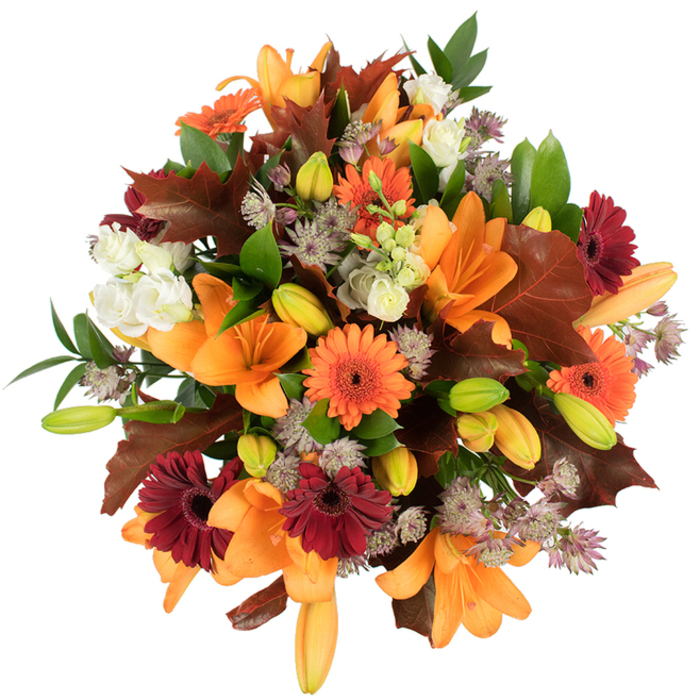 A lush, studio-lit, slightly elevated view of a seasonal hand-tied bouquet that reads like a woven tapestry of autumn colour-an arrangement our team at Flower Delivery Queensbury often creates for local Thanksgiving tables. Prominent, fully open orange Asiatic lilies form the focal points, their broad trumpet petals captured mid-unfurl; around them, many compact lily buds in pale orange and fresh green add layers and anticipation. Bright orange Gerberas and deep burgundy-red Gerberas are scattered through the mass, their clear, circular forms and dark centres creating lively contrast against the softer creamy-white lisianthus (or mini roses) whose ruffled, multi-petalled heads offer tenderness. Interlaced tiny clusters of muted purple Astrantia lend delicate, star-like spikes that add an airy texture to the otherwise dense grouping. The bouquet is artfully highlighted with glossy green foliage and several large, lobed leaves in a rich reddish-brown-maple- or oak-like in silhouette-which reinforce a true autumnal character. The arrangement appears freshly gathered, petals smooth and dewy, stems firm; the lighting is bright and neutral on a white backdrop, making the warm palette sing. The overall impression is one of harvest abundance, warmth, and thoughtful craftsmanship-perfect as a centerpiece for dining rooms in Queensbury, a welcome gift to a neighbour on Queensbury High Road or delivered to a family gathering in nearby Kingsbury and Wembley. It evokes the comforting scent of late-season blooms and the tactile pleasure of velvet petals and crisp leaves.