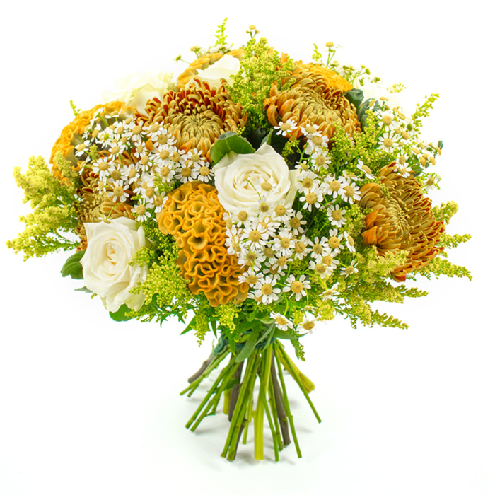 A generous, dome-shaped bouquet is photographed against a flawless white background, every detail of the flowers sharply defined, as if you were holding it under clear Queensbury daylight. Dominating the composition are full, spiky chrysanthemums in an array of autumnal shades-burnished orange, deep golden brown, and soft ochre-each bloom made up of tightly packed petals that radiate outwards in soft, firework-like bursts. These richly coloured mums lend the arrangement a strong seasonal character, evoking harvest suppers and walks along Church Lane as the leaves begin to turn. Tucked among the chrysanthemums are several creamy white roses, their petals smooth and slightly luminous, opening in graceful spirals that draw the eye inwards and add a touch of understated luxury. Standing out with a distinctive sculptural form are the yellow-orange celosia flowers, their cockscomb heads rippling with velvety folds, like tiny coral formations or the surface of a gently ruffled fabric, bringing a sense of curiosity and creative design. Dotted throughout are clusters of petite white daisy-like blooms-matricaria or chamomile-each with a bright yellow centre that echoes the golden palette while introducing a fresh, meadowy lightness. Surrounding and threading through all the blooms, airy sprays of lime-green solidago and other lush greenery create a vibrant, feathery halo, softening the outlines and adding depth, volume, and a hint of wildness. The exposed stems are neatly aligned and tied securely with green florist's tape, revealing the hand-tied craftsmanship behind the design. Overall, the bouquet feels both polished and natural, well suited for an autumn wedding near Queensbury, a seasonal table display, or a heartfelt gift delivered locally to celebrate life's quieter but meaningful moments.