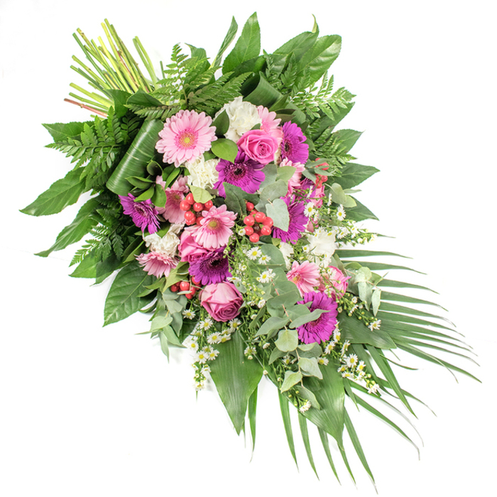 A striking, asymmetrical funeral spray rests against a pure white background, its form sweeping from the fuller upper left corner down to a tapering point at the lower right, much like a floral echo of the quiet streets around Queensbury in the early morning. At the top left, a neat bundle of exposed stems marks where the florist has carefully hand-tied the tribute before allowing the blooms to flow outward. Dominating the design are round-faced gerbera daisies in a mix of gentle pastel pink and intense magenta, their bold centres and layered petals acting as bright points of focus. Interwoven with them are classic pink roses, each bud composed of tightly wound petals that gradually loosen towards the edges, creating a sense of depth and tenderness. Soft white flowers, likely miniature carnations or similar ruffled blooms, nestle between the pinks and purples, adding a cushiony texture and enhancing the pure, consoling tone of the piece. Tiny white daisy-like blossoms are sprinkled throughout, suggesting wildflower hedgerows and bringing an airy, garden-like charm. Here and there, clusters of shiny red hypericum berries emerge from the greenery, their rounded forms and deep colour offering a small but vivid accent. The entire arrangement is cradled within luxurious foliage: broad, glossy dark green leaves offer stability; feathery ferns introduce lightness; and rounded, silvery eucalyptus leaves provide both visual coolness and the promise of a fresh, calming scent. At the lower right, long, narrow palm fronds extend outward in a soft arc, enhancing the cascading effect. Ideal as a casket spray or prominent standing tribute for a memorial or funeral service near Queensbury, this arrangement conveys respect, love, and a serene sense of farewell.