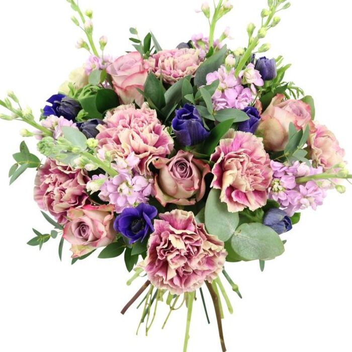Captured against a bright white background, this lush, hand-tied bouquet radiates a sense of modern elegance with a romantic, timeless heart, as though prepared for delivery to a home just off Cumberland Road or near Queensbury Circle. The focal point is a cluster of large garden roses, their petals densely layered and softly curling inwards, coloured in dusty blush, muted mauve, and vintage rose tones that evoke antique fabrics and cherished letters. Nestled among them, voluminous carnations unfurl in ruffled tiers, beginning with creamy beige and soft blush at their centres, gradually deepening to rose and vivid plum along each crimped edge. These carnations add both fullness and lively texture, filling the bouquet with gentle undulations. Providing striking contrast are rich indigo and royal blue blooms; some are compact, tulip-like buds poised to open, while a standout anemone, wide and velvety with a dark midnight centre, anchors the lower portion of the design with an almost theatrical intensity. Delicate stems of lilac and pale lavender stock weave upwards, their petite, closely packed flowers bringing a light, airy feel and suggesting a soft, powdery fragrance. Around the blossoms, fresh greenery plays a crucial supporting role: round, silvery eucalyptus leaves mingle with darker, glossy foliage, their overlapping shapes building a sense of depth and natural rhythm. The stems are clearly visible at the base, gathered and tied to reveal this as a freshly created hand-tied arrangement, perfect for placing straight into a vase. With its harmony of pinks, purples, blues, and greens, this bouquet feels ideal for weddings, anniversaries, or elegant celebrations across Queensbury, expressing affection with refinement and care.