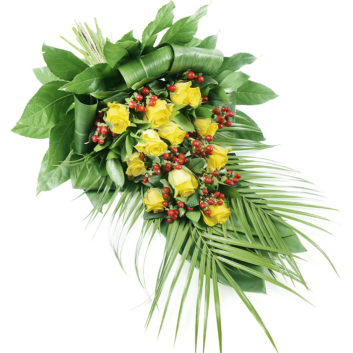 A refined sympathy spray composed of yellow roses, red Hypericum berries, and lush greenery is shown resting on a clean white background, its elongated form running diagonally across the image. The composition begins at the upper left with a dense cluster of foliage and blooms, then narrows gracefully toward the lower right, suggesting a gentle, downward cascade. At the centre of the design, a generous selection of yellow roses-between fifteen and twenty-creates a radiant focal point. Some roses are partially opened, their petals still close and rounded; others have unfurled into wide, layered cups, revealing soft, velvety textures that evoke both tenderness and dignity. Their warm, golden-yellow tones feel like a quiet ray of sunshine on a still morning in Queensbury. Threaded among the roses are numerous sprays of red Hypericum berries, small and spherical, their smooth, glossy skins catching the light and introducing a striking crimson counterpoint to the yellow flowers. The foliage provides structure and depth throughout the spray. At the top, broad, dark green leaves are artfully folded, wrapped, and layered to create a solid, sculpted base. This mass of greenery gives the impression of strength and support, similar to the mature hedges and trees framing local streets near Queensbury Underground station. From the lower right of the arrangement, long, arching palm fronds extend outward, each slender leaflet adding movement and a slightly tropical accent that softens the overall silhouette. The stems of the flowers and foliage are neatly bound where the spray begins, evidence of careful, professional craftsmanship. With its calm palette of yellow, red, and deep green, this design feels perfectly suited to a funeral service or crematorium chapel in or around Queensbury, offering a heartfelt farewell that balances sorrow with gratitude and remembrance.