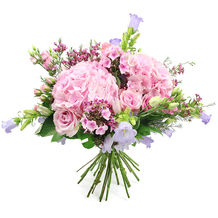 Set against a clean white background, this hand-crafted bouquet showcases a harmonious blend of pink hydrangeas, roses, and complementary purple blooms, arranged with the care of an experienced Queensbury florist. At its core are two rounded heads of soft pink hydrangea, lush and full, with countless small, scalloped petals that layer over one another like delicate fabric, creating a plush, cushiony texture. Woven around and between these generous blooms are light pink roses, some opening wide to display their spiralled centres, others still in tighter bud form, adding both structure and a quietly romantic charm. Slender stems of bell-shaped flowers in shades of pastel lavender and gentle lilac-purple rise from the depths of the bouquet, similar to campanula, their pendant blossoms providing a whimsical counterpoint to the rounded hydrangeas. Tiny clusters of deeper fuchsia and intense pink filler blossoms, reminiscent of waxflower or fine phlox, punctuate the design, adding texture, depth, and little sparks of vibrant colour. Fresh green foliage, including smooth leaves and delicate new buds, surrounds the blossoms, enhancing their pastel tones and reinforcing the sense of natural freshness, as if the stems have just been conditioned in a back room off Church Lane. The stems are visible at the base, neatly gathered and hand-tied, ready to slip into a glass vase on a dining table in a Queensbury home. The bouquet exudes joy, tenderness, and celebration, ideal for birthdays, anniversaries, Mother's Day surprises, or simply bringing a touch of soft, floral elegance to everyday life around Queensbury and the nearby parks.