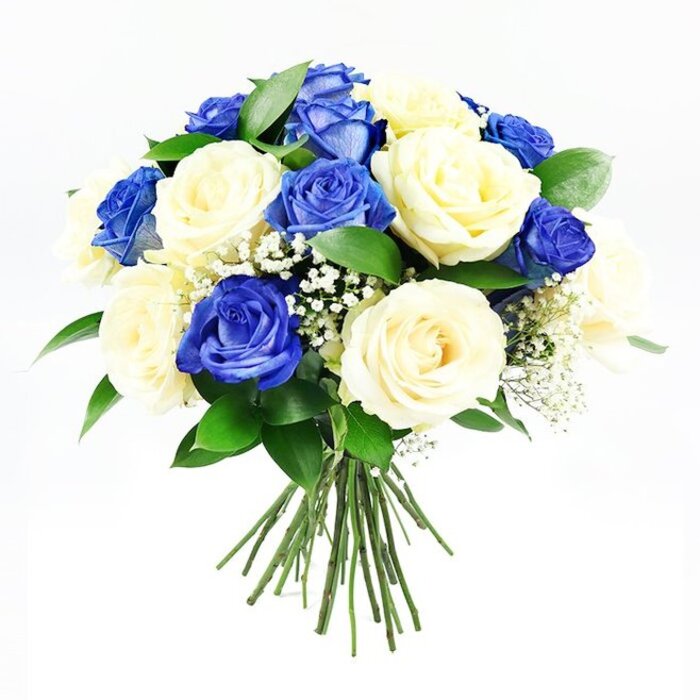 This image shows a lush, hand-tied bouquet of roses designed in a near-perfect sphere, set crisply against a white background that enhances every subtle tone of blue, cream, and green. Roughly a dozen rich sapphire-blue roses are evenly scattered throughout the arrangement, each bloom layered with velvety petals that curl inward at the centre and loosen delicately toward the edge, giving a sense of depth and luxury. Balancing them are an equal number of cream roses, some with a soft buttery hue, others appearing closer to ivory, their gently unfolding petals creating a soothing counterpoint to the cool blue roses. Tiny, cloud-like clusters of white gypsophila weave between the larger blossoms, their miniature flowers offering a light, airy texture that keeps the dense, rounded bouquet from feeling heavy. Dark green foliage, reminiscent of Ruscus leaves, forms a subtle collar around the outer edge, with glossy surfaces that catch the light and suggest freshness, as though the stems were conditioned in a Queensbury florist's studio only moments before. The long stems extend downward beneath the blooms, neatly gathered and tied into a compact bundle, perfect for placing into a glass vase or carrying to a memorial service. Soft, even lighting reveals the fine details of every petal and leaf, casting only the faintest shadows and giving the whole design a serene, polished presence. Ideal as a sympathy bouquet for families in Queensbury, this arrangement of blue and cream roses conveys quiet respect, heartfelt condolences, and a sense of dignified beauty during moments of remembrance.