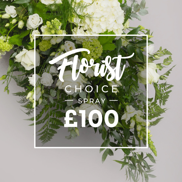 An abundant white-and-green spray sits against a soft grey backdrop, framed by a slim white border. The eye is drawn to large, airy hydrangea clusters in white at the crown, with classic white roses dotting the heart of the arrangement, their petals opening in stages. Interspersed are smaller blooms resembling lisianthus, their delicate bells adding lightness, some with faint green tinges. The greenery is a garden of textures: feathery ferns, rounded eucalyptus leaves with a muted grey-green tone, and darker, glossy green leaves that provide depth. The whole look is open, fresh, and elegant-a premium Florist Choice created for elegant occasions, such as sympathy, remembrance, or understated celebration. The central overlay reproduces the label with 'Florist Choice' in script, 'SPRAY' in uppercase sans-serif, and the price '?100' beneath, with a faint glow so the foliage shows through. This image belongs to Flower Delivery Queensbury, and would sit well on a product page offering same-day delivery to families along Queensbury's leafy streets, or as a refined tribute for events at local chapels or community centres. The composition's balance and clear light invite calm reflection, a bouquet that feels both timeless and appropriate for intimate moments.