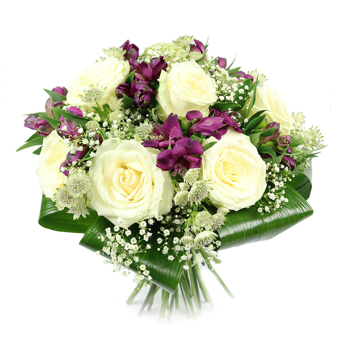 In this elegant studio image, a meticulously crafted bouquet appears to float against a white background, its compact, rounded silhouette drawing the eye straight to the interplay of colour and texture. Dominating the centre are several fully opened creamy white roses, each bloom composed of spiralling petals that curl softly outward, giving the arrangement a sense of classic romance and polished refinement. Threaded between these roses are generous sprays of deep purple and rich magenta alstroemeria, the Peruvian lilies' trumpet-shaped blossoms and fine markings creating a dramatic contrast that feels both contemporary and luxurious, as if designed for a stylish Queensbury townhouse near the Broadway. Clusters of delicate white baby's breath are tucked throughout, their tiny blossoms forming a mist-like veil that unifies the composition and lightens the richer tones. Interspersed here and there, pale green-white astrantia blooms with their distinctive pin-cushion centres add a subtle wildflower charm, hinting at countryside gardens while still remaining thoroughly modern. The bouquet is thoughtfully collared with broad, glossy aspidistra leaves, folded and wrapped around the base in a smooth, structured ring; their dark emerald green provides a strong visual frame that anchors the otherwise airy design. Below, the neatly aligned stems are visible, confirming the piece as a hand-tied creation ready for local delivery. The lighting is bright and even, highlighting each petal, vein, and texture with clarity. This bouquet would feel at home on a dining table near Queensbury Station or as a refined gift delivered by Flower Delivery Queensbury for birthdays, anniversaries, romantic surprises, or tender gestures of sympathy, offering a calm yet striking presence in any space.