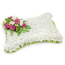 This pillow-shaped memorial is composed entirely of crisp white chrysanthemums, each bloom placed to create a soft, even surface that resembles a comforting cushion. The dense white field suggests purity and repose, its texture tactile enough to imagine under fingertips, while the arrangement's focal point sits in the upper-left corner: deep magenta roses with velvety petals, paired with clusters of small white freesias that lift the colour and scent with delicate brightness. Interspersed fern fronds and glossy greens form a fresh, structured base for the accent cluster and add a natural silhouette that reads from every angle. A finely pleated light-green satin ribbon trims the edges, occasionally visible through the white blooms and giving the pillow a polished, ceremonial finish. Photographed against a pristine white background with soft daylight, the memorial's shadowing accentuates its three-dimensional form and the careful craftsmanship involved. As a local tribute prepared by florists working around Queensbury, Kingsbury and nearby Wembley chapels, it is intended for funerals, memorial services or a gentle graveside farewell. At Flower Delivery Queensbury we often create this classic cushion when families ask for something traditional yet personal: a quiet statement of sympathy that speaks of peaceful rest, respect, and enduring remembrance. The scent is subtle - the green, clean note of chrysanthemums and freesias - and the overall impression is one of tender, composed comfort during a difficult time.