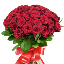 The centerpiece of this striking image is a lavish bouquet of nearly five dozen velvety red roses, gathered in a luxuriously full, rounded shape that seems to glow with warmth and promise. Each rose is hand-selected by an expert Queensbury florist, with their deep, rich crimson petals arranged to flow seamlessly together-from the tightly furled hearts to the petals opening in mesmerizing spirals. Glimpses of glossy, dark green foliage peek through the abundance, offering a natural vibrancy reminiscent of leafy corners in Roe Green Park. At the bouquet's foundation, straight green stems are expertly bound with a wide, satiny red ribbon, knotted into an opulent, flowing bow whose length adds drama and celebratory flair. The roses' fresh aroma, evocative of summer gardens after gentle rain, can be almost imagined. The light dances across petal and leaf, giving the flowers a three-dimensional allure and suggesting the artistry behind every placement. Created to celebrate life's grandest moments-from heartfelt anniversaries to passionate surprises-this arrangement eloquently speaks of enduring love and local craftsmanship, a floral masterpiece woven into the fabric of Queensbury's special celebrations.
