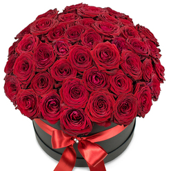 In this artfully composed image, a resplendent bouquet of tightly clustered, velvety red roses overflows from a sleek, matte black hat box, creating a dome of magnificent colour and luxurious texture. The petals, rich as velvet and unfurling with natural grace, alternate between tight whorls and gently opened edges, casting subtle shadows onto one another. The vivid crimson of the blooms seems to glow, their fragrance lingering in the imagination. A vibrant red satin ribbon, smooth and lustrous, circles the box and meets in a neat, sumptuous bow adorned with a tiny crystal accent at the front. The contrast between the deep red flowers and the matte black container is striking against the pure white backdrop, ensuring every nuance stands out clearly. The entire design, reminiscent of the heartwarming romance found along Queensbury's tree-lined avenues and local parks, feels intimate and special-ideal for momentous occasions where love or admiration must be spoken without words. The skilled craftsmanship of Queensbury's local florists is evident, making this arrangement a fitting tribute for grand declarations, heartfelt apologies, or cherished anniversaries, perfectly tailored for life's unforgettable moments.