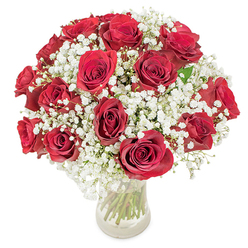 A true testament to romantic tradition and skilled floristry, this striking bouquet of red roses and baby's breath captures the spirit of love in Queensbury. Approximately 18 to 20 roses, chosen for their deep crimson hue and velvety texture, are arranged in a tightly rounded formation, each bloom opening fully in a display of vitality and allure. Crisp tufts of white gypsophila weave between the roses, forming gentle halos that soften the boldness of the arrangement and evoke airy, cloud-like charm. The bouquet is set in a translucent glass vase, allowing the long, fresh green stems to be admired and lending a sense of transparency and modernity to the classic composition. Presented against a clean white background-very much like the bright, inviting window displays of our Queenbury florists on a cloudless day-this bouquet conveys an unmistakable sense of celebration and warmth. The scent of the roses floats subtly, mingling with the light sweetness of the gypsophila, while the visual interplay of red and white invokes both passion and serenity. Ideal for anniversaries, Valentine's Day, or special moments spent strolling through Queensbury Park, this arrangement offers more than beauty; it delivers a message of deep affection and thoughtful intention. Each element is placed with care, reflecting the dedication and artistry that the Queensbury community expects from its local florists.