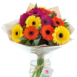 Bathed in soft, natural light, this striking Gerbera daisy arrangement showcases a tapestry of radiant hues-golden yellows, tangerine oranges, and electric magentas-that seem to dance together in perfect balance. Every stem is thoughtfully placed for optimal visual impact, reflecting the artistry of the Queensbury florist's touch and the vibrancy of the local area. Lush green leaves peek through the tapestry of blooms, adding subtle texture and a sense of life reminiscent of the leafy lanes near Mollison Way. The bouquet is presented in a gleaming glass vase, allowing the crisscross of strong stems to be seen beneath the surface of fresh water. Pointed petals spread outward in joyful celebration, contrasted beautifully by the dark, button-like centers of each daisy. The arrangement is swaddled in natural kraft wrapping and a whisper-thin cellophane sheath, combining modern elegance with rustic charm. A loop of natural twine secures the bundle, from which a tasteful tag with a rose illustration hangs-an understated nod to classic floral traditions. This arrangement feels like a celebration in a vase, perfect for birthdays, gratitude, congratulations, or simply to bring a sense of sunshine into homes across Queensbury. It's not just a bouquet; it's an invitation to pause, smile, and appreciate the moments that colour our lives.