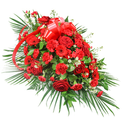 A rich red funeral spray is displayed against a clean white backdrop, its elongated, gently tapered form suggesting a final gesture of care and devotion. At the centre of the design, deep crimson roses unfold in varying stages of bloom, from tight, hopeful buds to fully open blossoms with layered, velvety petals that seem to glow softly. Around them, clusters of red carnations provide generous volume, their ruffled petals adding a soft, cushioned effect, while striking red gerbera daisies, with broad open faces and darker eyes, punctuate the arrangement like bright, steady flames of memory. Tiny clusters of white filler flowers, resembling baby's breath or delicate chrysanthemums, sparkle between the reds, introducing small pockets of light and creating visual rhythm. A wide, satin red ribbon is tied into a full, multi-loop bow toward the top of the spray, its glossy streamers flowing naturally down through the flowers and subtly reinforcing the rich colour palette. The entire piece is framed by abundant green foliage: long, sweeping palm leaves stretch out from one side and the base, giving the spray its dramatic outline, while shorter, darker green leaves and a few fern-like fronds fill the interior and add depth and texture. The arrangement feels both strong and tender, ideal as a casket spray or a main funeral tribute placed beside a photo or candle. Designed in the style loved by many Queensbury families for services around Church Lane and Kingsbury Green, it embodies heartfelt remembrance and enduring affection, like a final embrace expressed in flowers.