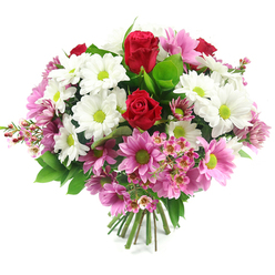 Set against a clean, white studio background, this full, rounded bouquet looks as though it has just been lifted from the bench of a skilled Queensbury florist, every detail carefully balanced. At its heart, two striking deep red roses rise slightly above the surrounding blooms, their tightly coiled petals forming velvety spirals that speak of passion, devotion, and meaningful connection. Encircling the roses is an abundant layer of white daisy-like chrysanthemums, each flower perfectly proportioned, with a bright lime-green centre that adds a refreshing, contemporary edge reminiscent of the greenery found near Queensbury underground station and the nearby open spaces. Interwoven among the white daisies are numerous pink daisy-style flowers, from soft pastel pink to a slightly deeper shade, all featuring the same vivid green centres; together they create a soft, romantic rhythm of colour that gently brightens the composition. Tucked between these larger blooms are small sprays of delicate pale pink filler flowers, much like waxflowers, their tiny, starry petals and fine stems introducing a gossamer lightness that brings depth and interest, particularly around the outer edges of the bouquet. Lush green foliage, with broad, glossy leaves and lighter accents, forms a supportive frame that intensifies the reds and pinks while reinforcing the impression of natural freshness. The stems are neatly bundled and cut to an even length at the base, making it clear this is a hand-tied bouquet, easy to place straight into a vase in a Queensbury living room or office. The mood is one of calm celebration and sincere affection, perfect for same-day delivery to mark milestones, send thanks, or offer gentle encouragement to friends and family across Queensbury.