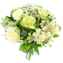 A softly lit hand-tied bouquet of white and green blooms is captured against a spotless white backdrop, giving the impression of morning light streaming into a calm Queensbury home. Full-blown ivory roses open at the centre, each flower cupping layers of silky petals that fade from warm cream at the heart to a cooler white at the edges, suggesting tenderness and reassurance. Beside them, ornamental cabbages form rounded rosettes of foliage, their outer leaves a rich garden green, folding into tightly ruffled centres of pale lime and yellow-green, bringing an unexpected yet harmonious twist to the design. Between these focal blooms, clusters of small white chrysanthemums and daisy-like heads with soft yellow-green centres create a gentle halo of petals, evoking innocence and quiet joy. Star-shaped astrantia, in muted greenish whites, peek through with fine, spiky bracts that add an intricate, almost lace-like texture. Traces of white alstroemeria lend slim, elongated petals with delicate streaks, deepening the bouquet's visual rhythm. Surrounding everything is a generous sweep of foliage: broad, glossy leaves and lighter, fresher greens that give the arrangement a lush, garden-gathered feel while still looking expertly composed. The stems are gathered firmly yet gracefully at the base, clearly tied by hand and ready for a vase on a windowsill overlooking Queensbury Park or a cosy living room off Honeypot Lane. The bouquet feels cool, composed and sincere, perfectly suited for sending sympathy flowers, marking a milestone, or simply brightening a minimalist interior with same-day delivery across Queensbury and nearby neighbourhoods.