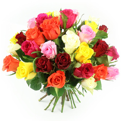 A richly textured, abundantly full bouquet of roses fills the frame, set against a crisp white background that allows every colour to sing. The arrangement is domed and hand-tied, with each bloom positioned snugly beside its neighbour so that only glimpses of dark green foliage are visible, adding depth without distracting from the flowers. The roses range from velvety deep reds and burgundies through glowing oranges and bright, sunny yellows to soft blush pinks, vivid fuchsias, and gentle ivory whites. Each rose is at an ideal stage of openness: some fully unfurled, revealing intricate whorls of petals, others just beginning to loosen from bud form, hinting at days of beauty still to come. The colours mingle in a harmonious blend rather than strict sections, creating the feeling of a joyful crowd gathered close, much like friends and family celebrating together in a Queensbury home near the station or around the local shops. At the base, the strong green stems are aligned with care and bound tightly by a green and white checkered ribbon, giving the bouquet a charming, informal elegance that would look just as at home on a kitchen table off Kenton Road as on a more formal dining setting. The bright, clear lighting reveals the subtle sheen of each petal, suggesting freshness and a delicate fragrance. Overall, the image conveys warmth, romance, and celebration, ideal for illustrating same-day rose deliveries for birthdays, anniversaries, or heartfelt thank-you gifts within Queensbury.