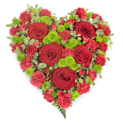 A luxurious, heart-shaped flower arrangement rests on a clean white backdrop, as though just finished on the counter of a Queensbury high street florist preparing a tribute for a local chapel service. The heart is saturated with deep red tones, dominated by fully opened roses whose velvety petals fold over one another in elegant spirals, evoking classic romance and profound love. Nestled around them, smaller red spray carnations and mini carnations fill every curve of the heart, their frilled edges catching the light and creating a soft, cushion-like effect. Between these crimson blooms, clusters of bright lime-green button chrysanthemums appear like little beacons of life and hope, their tiny, tightly packed petals adding a modern, almost graphic contrast. A delicate collar of variegated pittosporum foliage, with its creamy white-edged leaves, outlines the shape, giving the design a clear, defined silhouette that would stand out beautifully in a funeral parlour or crematorium near Queensbury. At the heart's lower point, a single fern frond emerges, its deep green leaflets lending a touch of serenity and natural elegance. The flowers are arranged so closely that no gaps of foam or stems are visible, creating a sense of abundance and completeness, suitable for expressing heartfelt sympathy or a lifetime of memories. This design feels appropriate for honouring a loved one whose story is rooted in Queensbury's quiet streets and nearby parks, offering a visual expression of affection and farewell that feels both intimate and dignified.