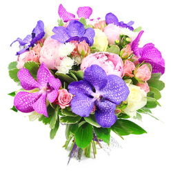 This image shows a sumptuous, professionally crafted bouquet resting against a pure white backdrop, as though just lifted from the workbench of a seasoned Queensbury florist. The arrangement is densely packed, with large pink peonies opening fully at the centre, their layered petals forming soft, romantic ruffles that invite the eye to linger. Among them, exotic Vanda orchids in tones of deep violet, indigo, and vibrant magenta curve gracefully, their broad petals patterned with delicate, net-like veining that adds an almost artistic, painted quality. Surrounding these statement blooms are dainty clusters of spray roses in blush pink and peach, interspersed with creamy white and pale yellow roses that spiral outwards in classic rosette forms, some still in bud, others partially open to reveal velvety interiors. Fine white filler flowers, possibly small chrysanthemums or asters, peek between the larger blooms, lending a light, feathery contrast to the rich textures. Encircling the flowers, an abundance of glossy greenery forms a lush collar, with both broad leaves and smaller variegated foliage lending depth and a sense of freshness, as if cut that morning from a well-tended garden in one of Queensbury's quiet residential streets. At the base, neatly aligned stems are bound with a slender purple ribbon and a touch of translucent mesh, signalling a hand-tied bouquet ready for delivery. The overall palette of fuchsia, deep purple, soft pinks, and crisp whites glows warmly against the white background, evoking joy, celebration, and refined taste, ideal for anniversaries, milestone birthdays, or elegant thank-you gifts delivered around Queensbury and nearby Kingsbury.
