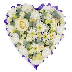 A softly contoured, heart-shaped floral tribute is shown against a white studio background, every inch covered with fresh blooms in shades of white, cream, and the palest yellow. The overall impression is of calm, gentle light, like a quiet morning in Queensbury before the day begins. At the centre of the heart, a single creamy white rose draws the eye, its layered petals forming a serene focal point. Surrounding it, plump white carnations provide cushioning softness, their frilled petals overlapping like delicate fabric, while white spider chrysanthemums radiate out with slender, spiky petals tipped around subtle green centres. Small ivory roses and creamy rosebuds nestle among them, some just beginning to unfurl, hinting at cherished memories still unfolding in the hearts of those left behind. Fine filler flowers and tiny buds in muted lime and soft cream are scattered through the design, creating a rich, tapestry-like surface. Threaded carefully between the blooms, eucalyptus foliage introduces silvery-green touches and a suggestion of natural woodland calm, the kind you might notice walking through the quieter streets off Honeypot Lane. A deep purple ribbon runs around the outline of the heart, pleated into soft waves that form a distinct, dignified frame, adding gravity without overwhelming the purity of the white flowers. The tribute feels thoughtfully composed, as though a skilled local florist has considered each petal and leaf for a family saying goodbye at a memorial service in or around Queensbury, offering a visual whisper of comfort, remembrance, and respect.