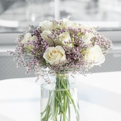 A luminous bouquet of creamy white roses and airy lavender statice stands tall in a clear glass vase, the kind of elegant arrangement you might see brightening a bay window in a Queensbury townhouse off Kenton Road. The roses form the heart of the design, around a dozen full-headed blooms clustered in a rounded, symmetrical shape. Their petals are soft and velvety, shaded from near-ivory at the outer edges to a slightly warmer cream at the centre, as if they are catching and holding the light. Between these classic blooms, countless tiny lavender-purple statice flowers spill and swirl, their branching stems filling every gap with a fine, cloud-like texture. The statice adds a gentle haze of colour, just enough lilac to lend interest without overshadowing the calm purity of the roses. Each stem is neatly trimmed and arranged in a tall, cylindrical glass vase, the lower halves submerged in clear water so that the green stems appear bright and fresh, criss-crossing in an orderly pattern that signals professional florist care. The vase is placed on a pristine white surface that bounces diffused daylight back into the bouquet, enhancing its soft glow. The background is pleasantly blurred, suggesting an indoor setting with large windows, perhaps overlooking the green trees near Queensbury Park, so that the flowers seem to float in their own pool of light. The overall mood is one of refined simplicity and gentle comfort, making this arrangement ideal for an anniversary surprise, a peaceful sympathy gesture, or a sophisticated thank-you gift delivered to homes and offices across the Queensbury area.