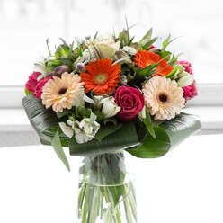 As this abundant bouquet catches the soft, early light pouring through a quiet Queensbury window, each blossom seems to tell a story of thoughtful craftsmanship and local pride. The focal point is a gathering of lush gerbera daisies-two in a luminous, energetic orange that seem to pulse with cheer, and two in a creamy, peach-toned beige, their textures plush and inviting, all crowned with rich brown eyes. Between these, the romance of deep magenta roses unfurls amidst the gentle embrace of pure white alstroemeria and creamy white miniature roses, introducing both contrast and gentle tranquility. Slim, pointed sprigs of greenery poke playfully between the blossoms, while sturdy, gracefully curved aspidistra leaves encircle the base of the bouquet, echoing the welcoming green spaces of Roe Green Park nearby. The bouquet sits proudly in a tall, transparent glass vase, its stems visible in perfect alignment, adding an organic elegance reminiscent of morning walks along Honeypot Lane. Subtle scents rise-floral sweetness mingled with crisp fresh foliage-infusing the air with anticipation and calm. Crafting this arrangement for the Queensbury community inspires thoughts of new beginnings, heartfelt thanks, and meaningful celebrations-a floral embrace designed to brighten any local home or special occasion.