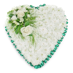 A classic heart-shaped sympathy arrangement fills the frame, its form sculpted entirely from a dense covering of white chrysanthemums that resemble a soft, pillowy quilt of petals. The flowers are packed so closely that no gaps show, giving the heart a velvety, tactile surface that evokes stillness and gentle comfort. Running all around the edge is a vivid emerald-green satin ribbon, neatly pleated and ruffled, creating a scalloped border that crisply defines the heart against the bright white background. The ribbon's subtle shine contrasts with the matte texture of the blooms, adding refinement without overwhelming the peaceful design. In the upper left arc of the heart, a small but striking focal cluster is arranged: two creamy white roses, fully open and beautifully symmetrical, rest at the centre, their layered petals unfolding like a quiet gesture of love. They are surrounded by smaller white flowers-similar to freesias or other dainty blossoms-whose slimmer petals and buds add nuance and depth. Nestled among them is a mixture of rich green foliage, from broad, polished leaves to light, feathery sprigs that extend just over the chrysanthemum base, lending a natural, slightly untamed note. The composition feels thoughtfully balanced, with the accent drawing the eye but never disturbing the sense of repose. This kind of heart tribute, prepared by experienced florists serving families in Queensbury, would be chosen for a funeral, memorial, or cremation service to convey heartfelt condolence, enduring affection, and a respectful farewell.