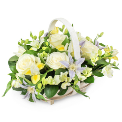 In this refined funeral flower basket, photographed against a clean white backdrop, the eye is drawn first to a circle of creamy white roses that sit high and proud at the centre, their petals unfolding like calm breaths. The roses are perfectly formed, with a soft, waxy sheen that speaks of freshness and careful handling, much like the arrangements regularly prepared for services at chapels and homes around Queensbury. Woven among them are sprays of pale yellow, almost lemon-cream blossoms resembling freesia, some in full bloom and others still in tight buds, suggesting the continuation of life and memory. Punctuating the pastel tones are rare star-shaped clematis blooms in gentle lilac and light periwinkle, each one radiating from a vibrant yellow-green centre that glows softly against the white setting. Around the flowers, layers of rich green foliage create a cradle of colour, with larger leaves giving structure and finer sprigs adding a feathery, comforting softness, like the greenery you might notice on a quiet walk near Queensbury tube. The flowers are gathered into a light beige or white wicker basket with a prominent matching handle arching overhead, its woven pattern adding a sense of craftsmanship and tradition. The arrangement feels contemplative and respectful, ideal for sending as a funeral tribute, a sympathy gift, or a memorial gesture delivered to local addresses off Stag Lane, offering a soothing blend of purity, remembrance, and gentle hope.