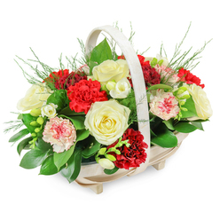 A softly lit sympathy basket is captured against a bright white background, its gentle colours and rounded form suggesting solace more than show. The basket itself is a pale, natural wood, shallow yet wide, with an oval footprint and a sturdy, arched handle that rises gracefully from side to side. It rests on small, subtle feet, giving the arrangement a sense of quiet dignity, much like a thoughtful tribute you might see at a Queensbury memorial service or in a peaceful home on a side street off Honeypot Lane. Inside, the flowers gather densely into a domed canopy: fully opened creamy white roses sit at the heart, their layered petals evoking calm and respect. Around them, deep red carnations with rich, frilled petals add warmth and heartfelt emotion, while softer pink and white-edged carnations introduce a gentler note of remembrance. Fine sprigs of smaller white blooms, similar to freesias, peep through the larger flowers, their slim stems and open, bell-shaped blossoms creating little pockets of light. The whole display is cradled in abundant greenery, from broad, glossy leaves that provide structure and contrast, to airy, fern-like fronds that extend slightly beyond the main shape, softening every edge. The composition has been carefully balanced so it appears full but never overwhelming, ideal for expressing sympathy, sending condolences across Queensbury, or accompanying a quiet farewell at a local crematorium. The red-and-white palette carries the feeling of love, purity, and enduring memory, making this basket a tender floral embrace in a time of loss.