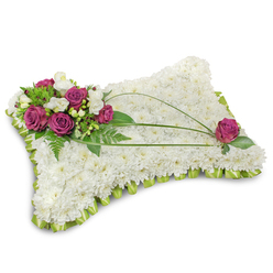 Set against a crisp white backdrop with a faint shadow at its base, this pillow-shaped sympathy cushion is a study in serene contrasts and meticulous floral technique, created with a dense carpet of pristine white chrysanthemums whose small florets form a soft, cloudlike surface. The tactile appearance-tight petal clusters and quiet ivory tones-conveys purity and tranquillity. Around the base, a folded light-green satin ribbon is pleated into a continuous scalloped border that frames the cushion and introduces a subtle lime brightness without disturbing the calm palette. Nestled in the top-left quadrant, a composed spray of rich fuchsia roses-velvety, fully formed-intermingles with delicate white freesia, the freesia lending an airy feel and a faint, sweet perfume that softens the heavier rose notes. Fresh emerald foliage and fern fronds fan out behind the cluster, adding texture and a natural, garden-fresh depth. Arching across the pillow are two or three dark-green bear-grass blades that curve gracefully toward the opposite corner, creating flow and a sense of movement; a single matching magenta rose is placed at the lower right to mirror the main cluster and complete the visual balance. Described with the care of an experienced Queensbury florist, this arrangement-available for delivery across Queensbury, Kingsbury and Wembley from Flower Delivery Queensbury-reads as a dignified expression of sympathy, a tactile tribute meant to comfort mourners and honour a life remembered.