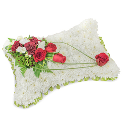 This dignified rectangular sympathy pillow, pictured on a neutral white backdrop, is hand-composed from a dense carpet of small white chrysanthemums that create a soft, reassuring texture like folded linen. A narrow border of light green ribbon edges the pillow, the pale colour peeking through to give the piece a gentle frame and a fresh finishing touch. Anchoring the arrangement at the upper left is a concentrated spray of deep red roses accompanied by rich burgundy carnations; the roses move from tight buds to full, open blossoms that speak of memory and devotion. Interspersed among them are tiny white freesias or spray chrysanthemums, whose small, bright faces add depth and a faint floral sweetness. Layers of green foliage - from feathery fern fronds to broader leaves - provide a verdant base and lift the red tones forward. From this main cluster, slender strands of bright green bear-grass or similar foliage arc gracefully across the white surface toward the lower right, creating a sweeping line that connects the composition. A single prominent red rose finishes that arc at the pillow's bottom right, a solitary emblem of enduring love. The bouquet's subtle scent and tactile contrast between the cushion of chrysanthemums and the velvety roses convey calm and respect. As local florists serving Queensbury, Wembley and nearby Kingsbury, Flower Delivery Queensbury often prepares this classic tribute for funerals and memorials, and we can advise on delivery to local chapels and crematoria.