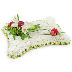 Presented on a pristine white backdrop, this rectangular pillow of flowers reads as a gesture of peace: the entire face is densely covered with hundreds of small, snow-white chrysanthemum heads, arranged so closely they form a smooth, tactile surface suggestive of a soft cushion. A pale lime-green satin ribbon, carefully pleated and pinched, encircles the form and catches a faint sheen in the light, offering a restrained hint of color. Anchoring the composition on the upper left, a cluster of accent blooms gives the design its voice - two open white Oriental lilies showing golden stamens, an elegant closed lily bud, and clustered deep burgundy spray carnations that bring a warm, solemn counterpoint. Lush green foliage, from delicate fern fronds to broader glossy leaves, fills negative space and creates depth behind the focal flowers. A slender green loop of salal or flexible decorative wire arcs gently from that cluster across the cushion, ending in a single deep red rosebud on the upper right whose tight, velvety petals are beginning to open, symbolising abiding affection and respect. The lighting is soft and even, emphasising texture and tonal contrast without harsh shadows. This sympathetic design, photographed with a minimalist background to focus on form and feeling, is precisely the kind of tribute we create in Queensbury for funeral services and private memorials - a considered, comforting expression made with care by Flower Delivery Queensbury.