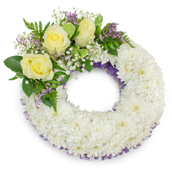 Presented on a pristine white background, this circular sympathy wreath is composed by hand with meticulous attention to texture and tone by Flower Delivery Queensbury, reflecting the quiet dignity expected at local memorials. The body of the wreath is a plush carpet of small, immaculate white chrysanthemums-each cluster of petals forming a soft, layered surface that reads as both elegant and consoling. Subtle traces of a dark purple netting or ribbon peek through the chrysanthemum edges, visible along both the inner and outer circumference, lending a whisper of depth and a respectful purple accent. Nestled into the upper-left quadrant is a carefully arranged spray of flowers: three soft, creamy yellow roses open gently, their velveteen petals offering an emotive focal point that suggests friendship and remembrance. These are cushioned by clouds of gypsophila, whose tiny white heads produce an ethereal, lace-like texture, and complemented by small clusters of lavender-purple statice that add a restrained pop of colour reminiscent of early spring bulbs. Mixed greenery-broad, smooth leaves alongside feathery fern fronds-frames the blooms and brings a fresh, verdant contrast to the whites and creams. The lighting is soft and even, creating delicate shadows beneath the wreath and emphasizing the careful, circular composition. This arrangement feels appropriate for a chapel, a wake at a local community centre near Queensbury Station, or a graveside service in the area, offering a comforting, handcrafted expression of condolence and lasting remembrance.

