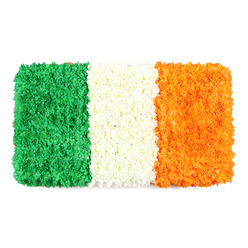 An elegant rectangular tribute, this three-band flag is built from velvety petals that mimic the Irish tricolour with depth and texture. Against a clean white background, three equal vertical panels rise in harmony: green on the left, white in the middle, and orange on the right, each composed of thousands of small blooms that form a dense mosaic. The left stripe is a lush emerald green, a soft carpet of blossoms-green chrysanthemums or carnations-that yields a gentle undulation, catching light along the organic surface. The central white stripe appears as a compact, cloudlike band of tightly packed petals, radiating calm and separation. The right stripe glows with warm orange, mirroring the other bands in density and texture, created from tiny orange blooms such as marigolds or chrysanthemums. The flag's proportions mirror a standard banner, with edges that remain crisp and lines that feel handmade rather than machine-made. The overall impression is both festive and respectful, a living emblem perfect for features on Irish culture, national holidays, or St Patrick's Day. In Queensbury, such a piece would suit community centres, markets, or pub spaces during celebrations, while still feeling appropriate for solemn remembrances. This image suggests a ready-to-display arrangement-fresh, tactile, and crafted with care-and is available for same-day delivery across Queensbury and nearby areas, to support cultural events, school projects, or public display.