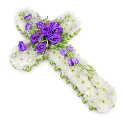 Set against a spotless white background, this cross-shaped funeral tribute evokes the hushed stillness of an early morning in Queensbury Park. The cross itself is carefully built from hundreds of white spray chrysanthemums, each petal contributing to a plush, almost cushion-like texture that suggests purity, peace, and rest. Their tiny green centres add subtle detail, creating a soft pattern across the entire surface. Neatly edging the cross, a slim lime-green ribbon traces every contour, giving the design definition and a fresh, living accent that gently outlines the sacred form. At the centre point where the arms of the cross meet, a lush cluster of royal purple lisianthus blooms forms the focal point. These velvety flowers, some fully open and others in graceful bud, swirl in layers of deep violet and amethyst, standing in poignant contrast to the surrounding white. Among them, light, airy greenery and small filler florets weave through, offering delicate hints of movement and natural softness. From this central gathering, a gentle cascade of lisianthus blooms and buds follows the lower arm of the cross, like a quiet stream of farewell running diagonally towards the base. The overall composition is photographed from above, with a soft shadow beneath that gives the piece gentle three-dimensionality without disturbing its calm, prayerful mood. This floral cross would sit beautifully at a memorial service in a local Queensbury church or crematorium, a respectful, faith-filled gesture designed to bring a touch of comfort and hope to family and friends saying goodbye.